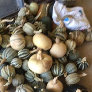 Meet your Posher, Santos